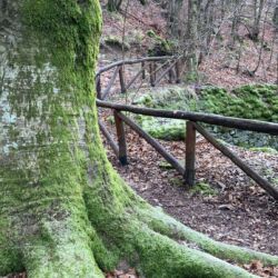 ©Associazione Ecomuseo della Montagna Pistoiese